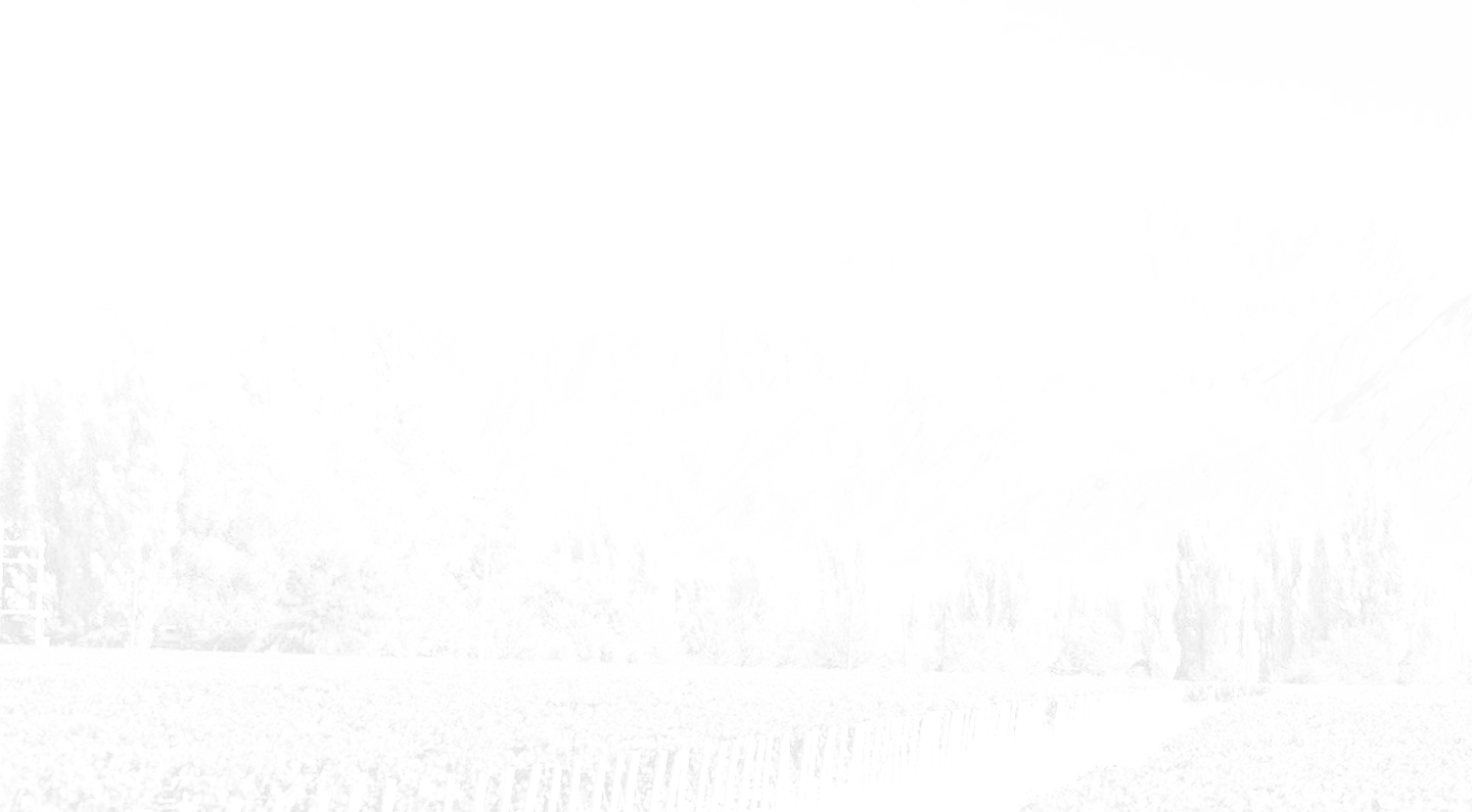 background-decoration